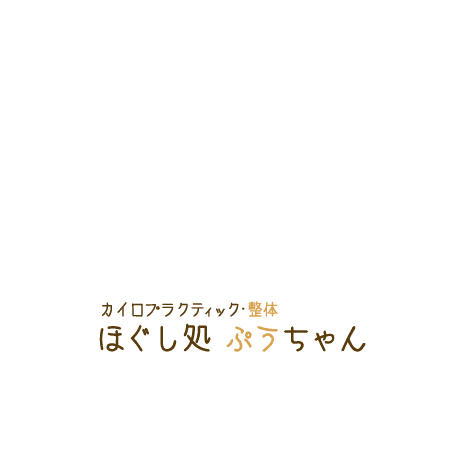 カイロプラクティック・整体 ほぐし処 ぷうちゃん